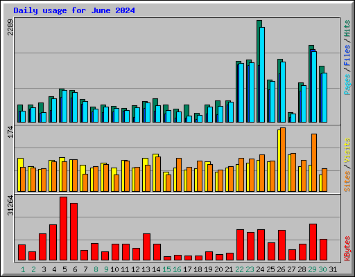 Daily usage for June 2024