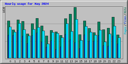 Hourly usage for May 2024