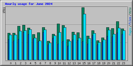 Hourly usage for June 2024