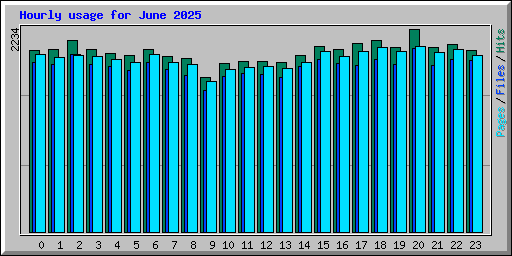 Hourly usage for June 2025