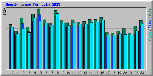 Hourly usage for July 2025