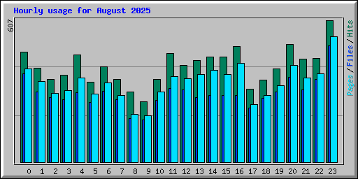 Hourly usage for August 2025