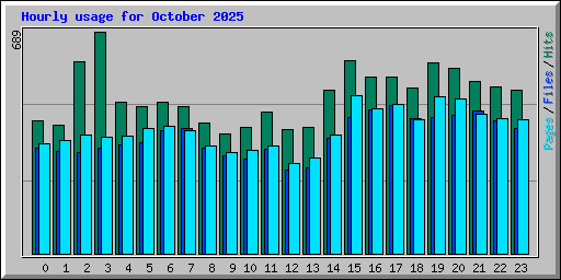 Hourly usage for October 2025