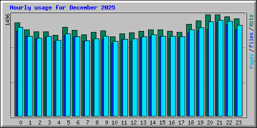 Hourly usage for December 2025